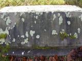 image of grave number 950055